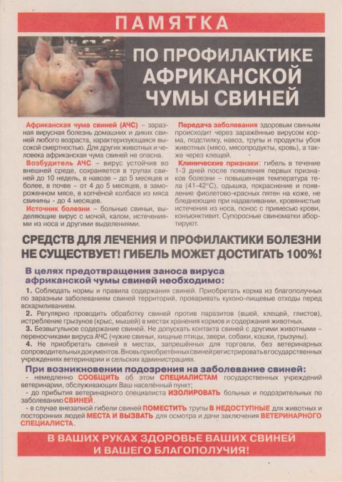 fotog20201116 1