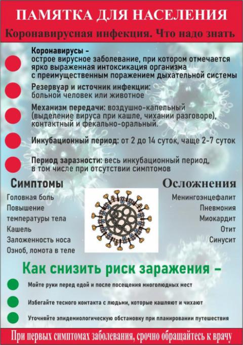 fotog20201116 3