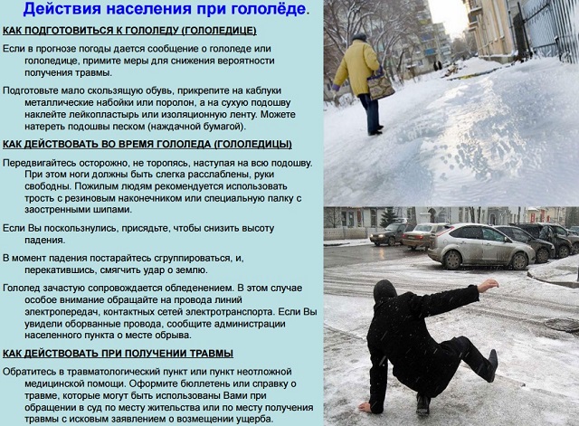 fotog20201116 4