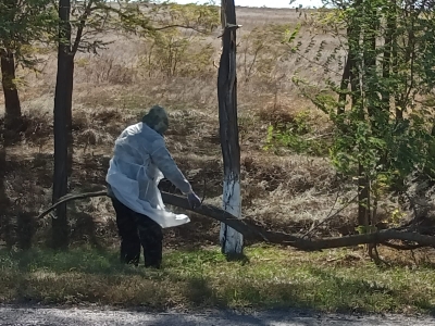 subbotnik 5