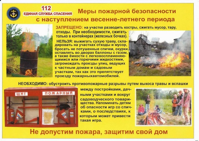 foto 2025 07 08 13 34 4