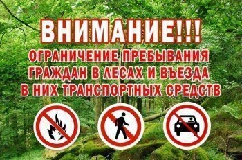 Об ограничении пребывания граждан в лесах