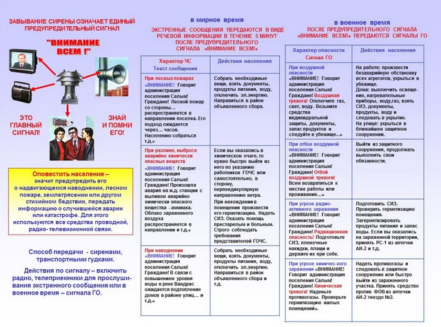 foto 2025 03 13 11 03 1