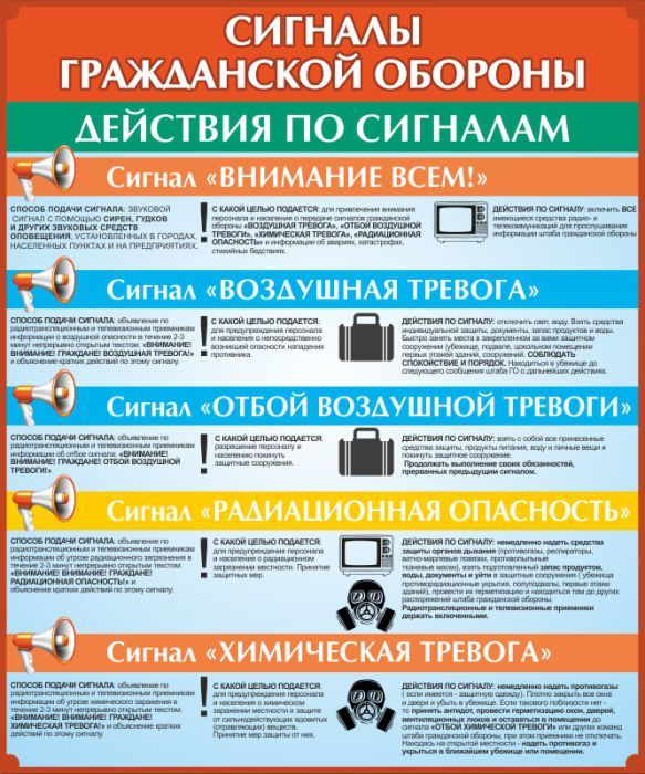 foto 2025 03 13 11 03 4